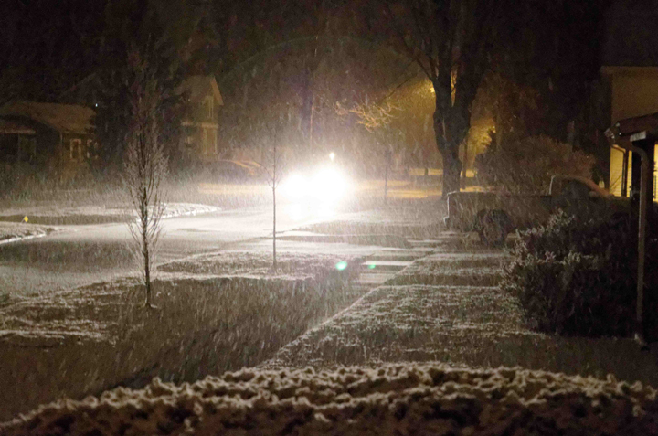 It finally snowed! | Ada Icon