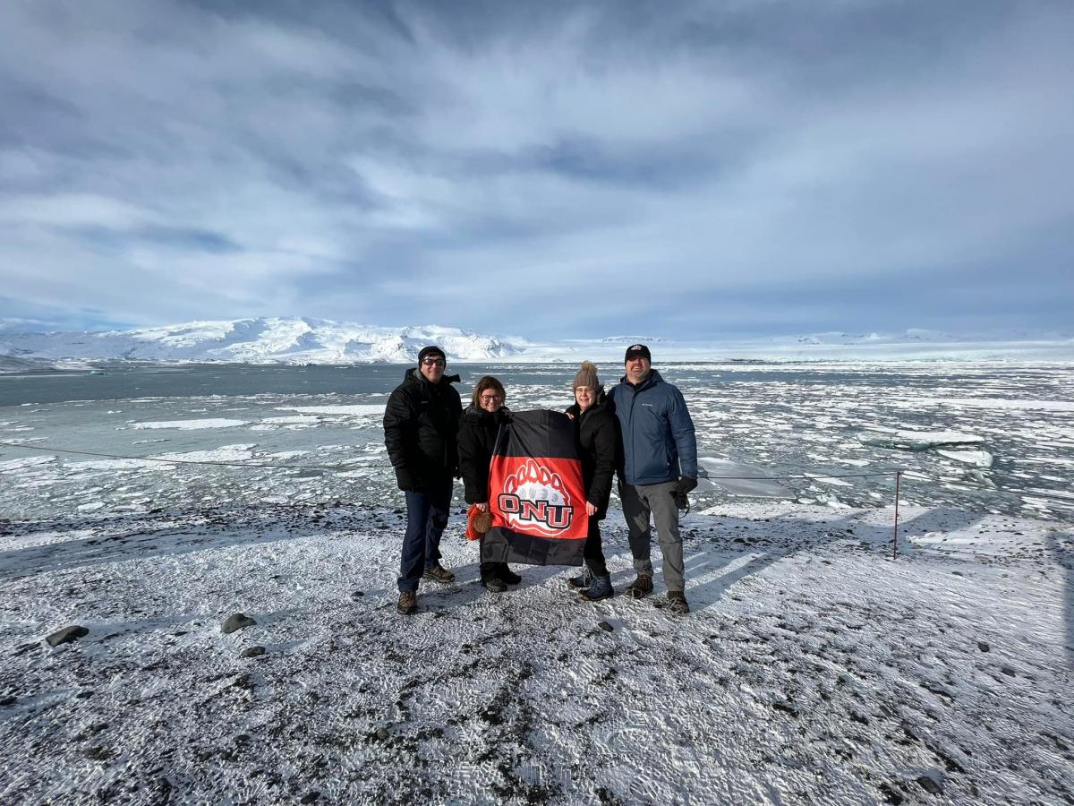 Polar Bears in Iceland