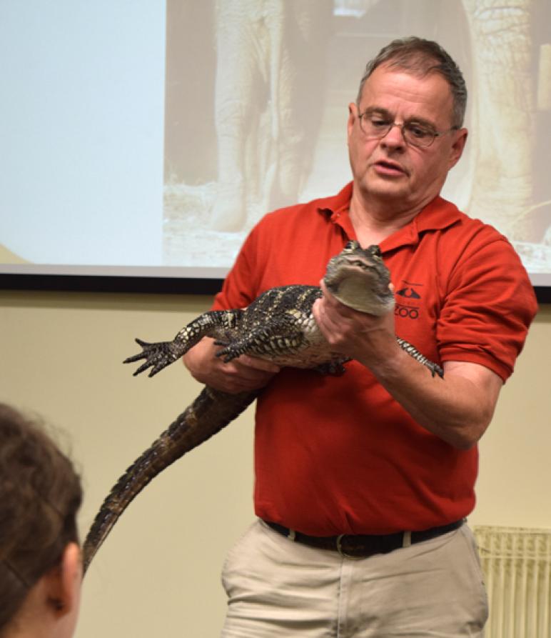 Chinese alligator