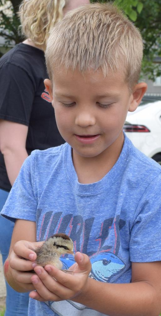 Zane Buxton with a baby chick.
