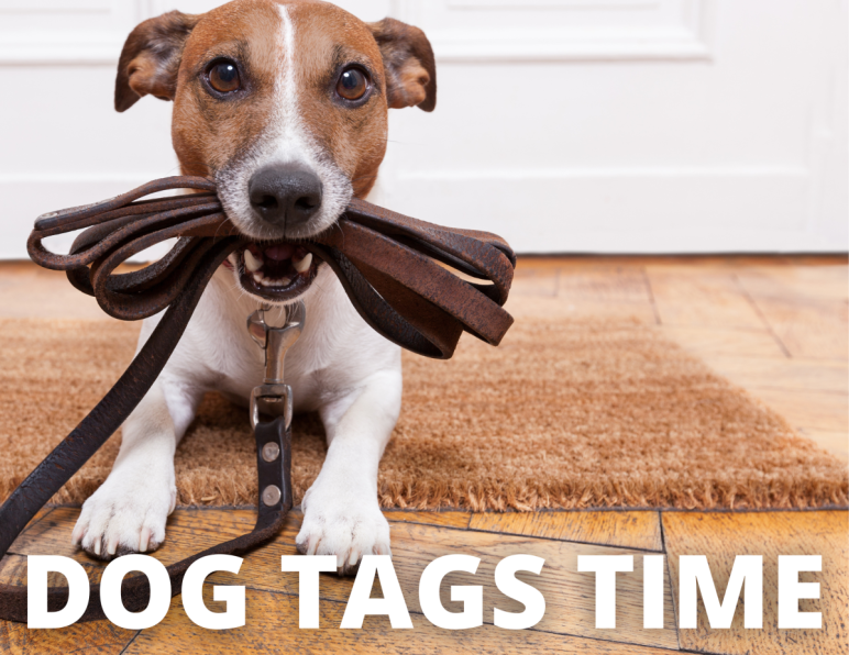 Spca dog tags cheap